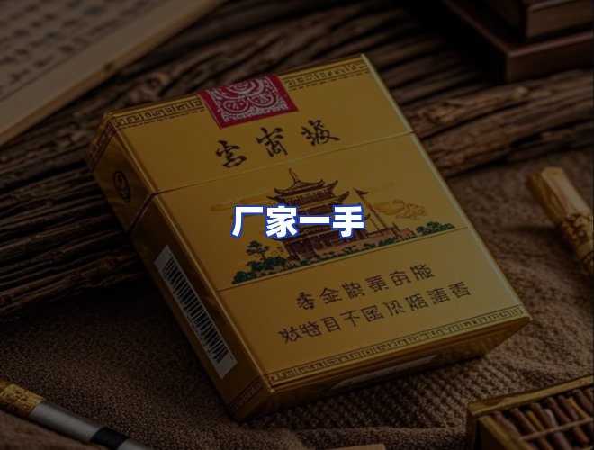 专业团队